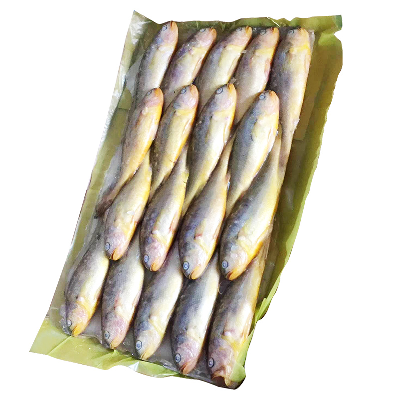 闆凍黃魚